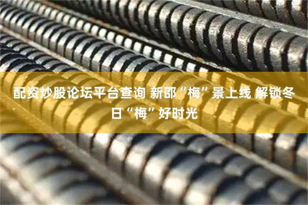 配资炒股论坛平台查询 新邵“梅”景上线 解锁冬日“梅”好时光