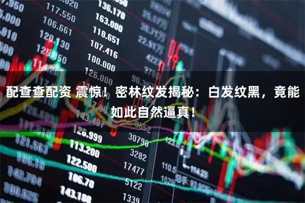 配查查配资 震惊！密林纹发揭秘：白发纹黑，竟能如此自然逼真！